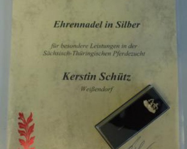 Kerstin Schütz