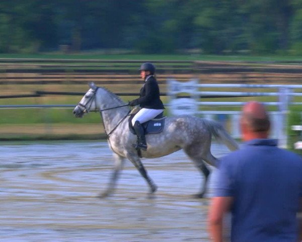 Reitturnier Coesfeld/Lette 2023