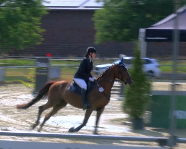Reitturnier Coesfeld/Lette 2023