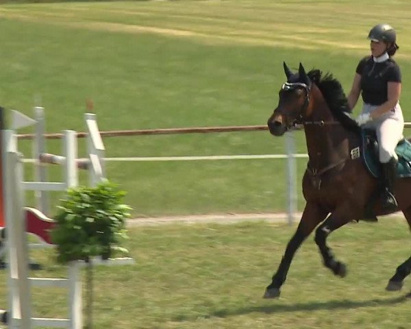 Reitturnier Bad Windsheim/Mfr. 2023