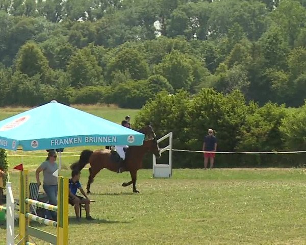 Reitturnier Bad Windsheim/Mfr. 2023