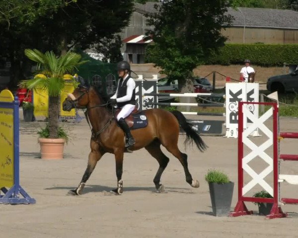 Reitturnier Handorf 2023