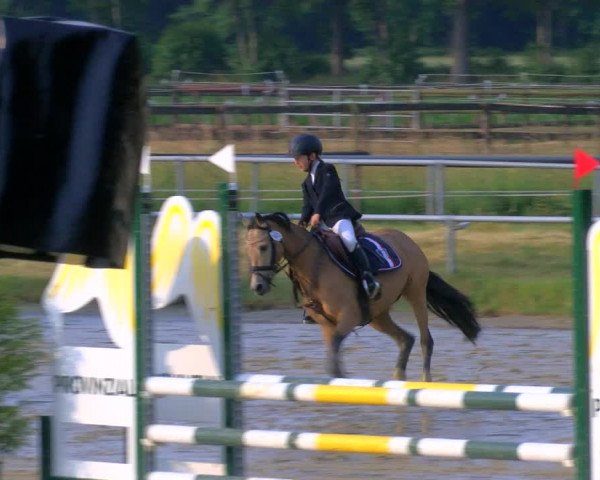 Reitturnier Coesfeld/Lette 2023