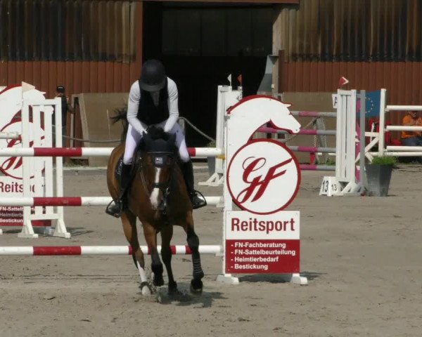 Reitturnier Handorf 2023