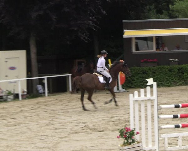 Reitturnier Fröndenberg 2023