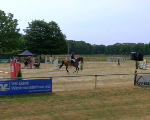 Reitturnier Coesfeld/Lette 2023