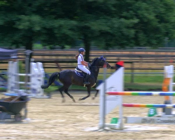 Reitturnier Coesfeld/Lette 2023