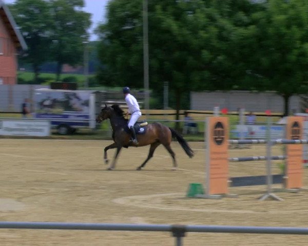 Reitturnier Coesfeld/Lette 2023