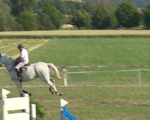 Reitturnier Bad Windsheim/Mfr. 2023