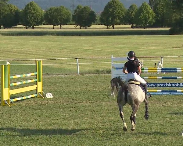 Reitturnier Bad Windsheim/Mfr. 2023