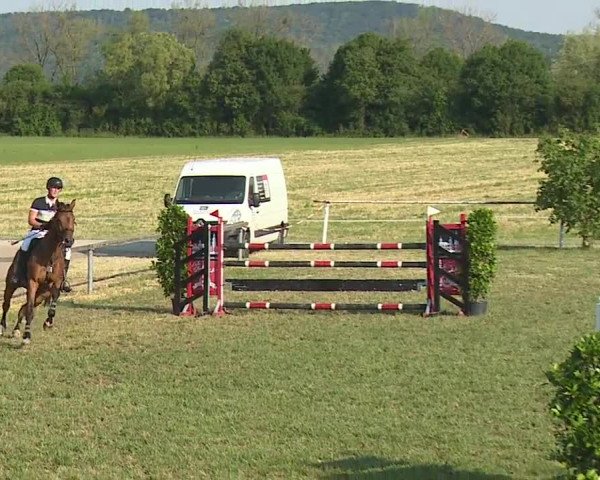 Reitturnier Bad Windsheim/Mfr. 2023