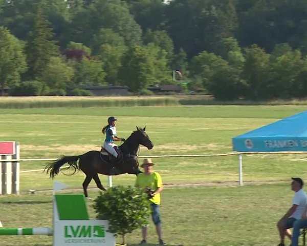 Reitturnier Bad Windsheim/Mfr. 2023