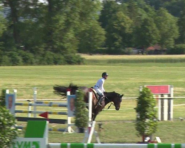 Reitturnier Bad Windsheim/Mfr. 2023