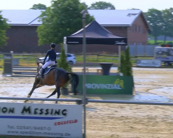 Reitturnier Coesfeld/Lette 2023
