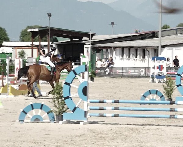 Reitturnier Giubiasco 2023