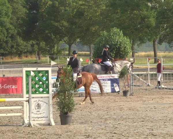 Reitturnier Biebesheim 2023