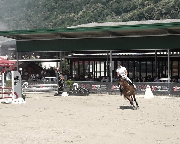 Reitturnier Giubiasco 2023