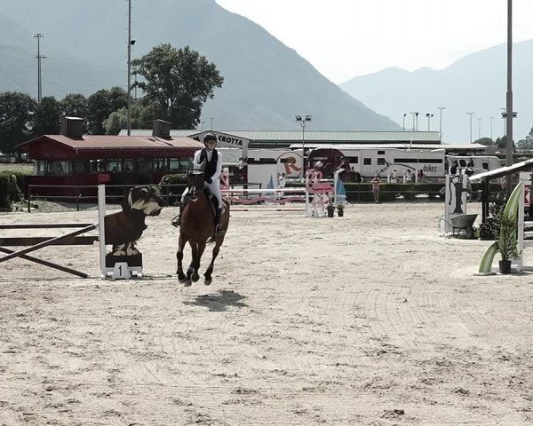Reitturnier Giubiasco 2023