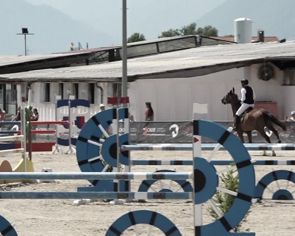 Reitturnier Giubiasco 2023