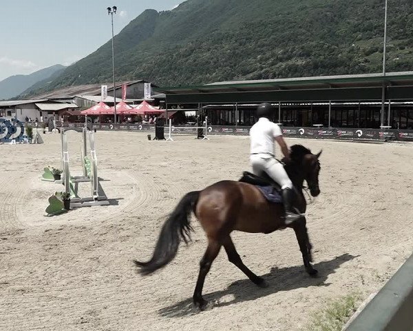 Reitturnier Giubiasco 2023