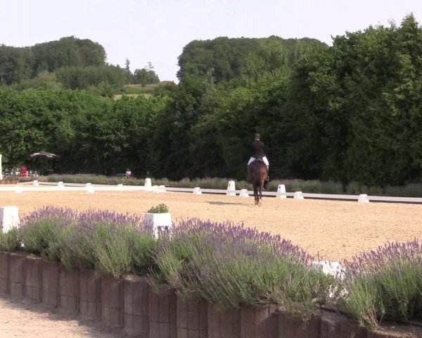 Reitturnier Lindlar - Reitanlage Dückers 2023
