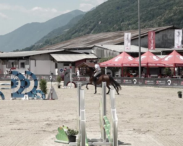 Reitturnier Giubiasco 2023
