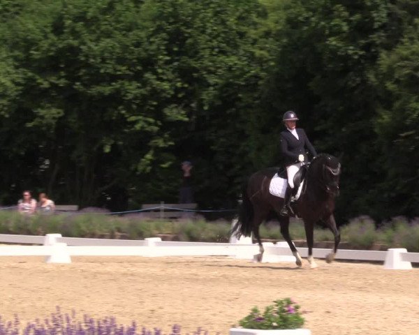 Reitturnier Lindlar - Reitanlage Dückers 2023