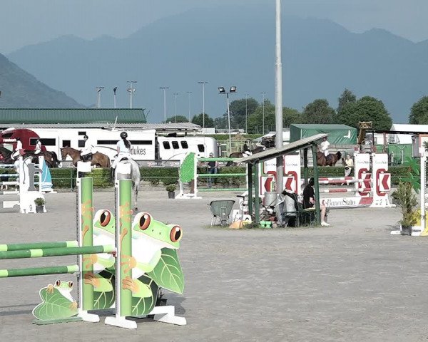 Reitturnier Giubiasco 2023