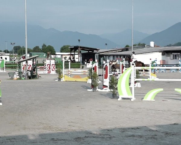 Reitturnier Giubiasco 2023