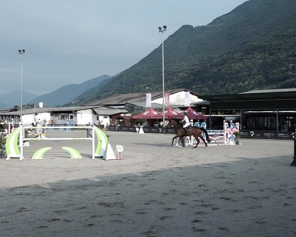 Reitturnier Giubiasco 2023