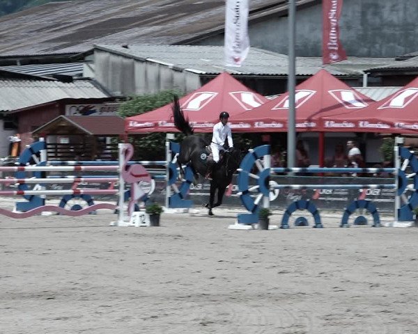 Reitturnier Giubiasco 2023