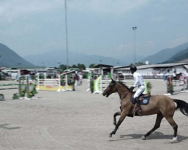 Reitturnier Giubiasco 2023