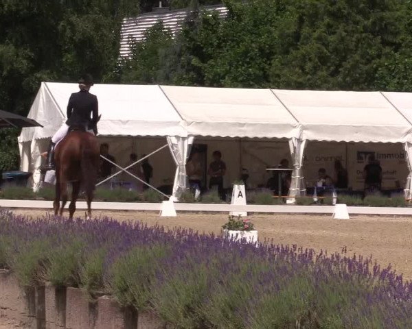 Reitturnier Lindlar - Reitanlage Dückers 2023