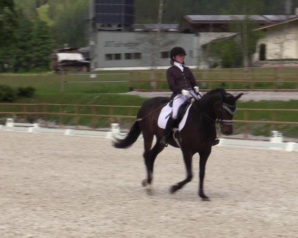Reitturnier St. Ulrich am Pillersee 2023