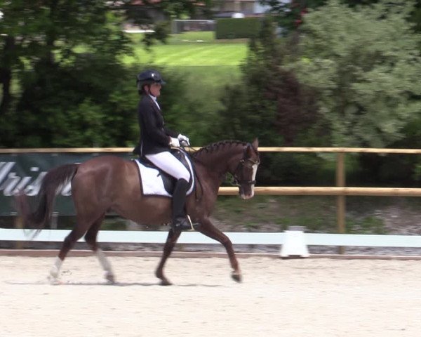 Reitturnier St. Ulrich am Pillersee 2023