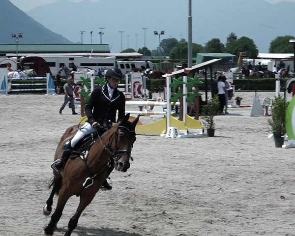Reitturnier Giubiasco 2023