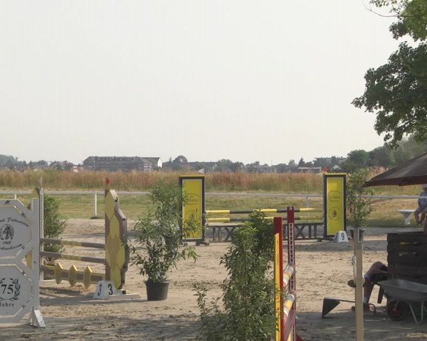 Reitturnier Biebesheim 2023