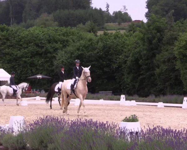 Reitturnier Lindlar - Reitanlage Dückers 2023