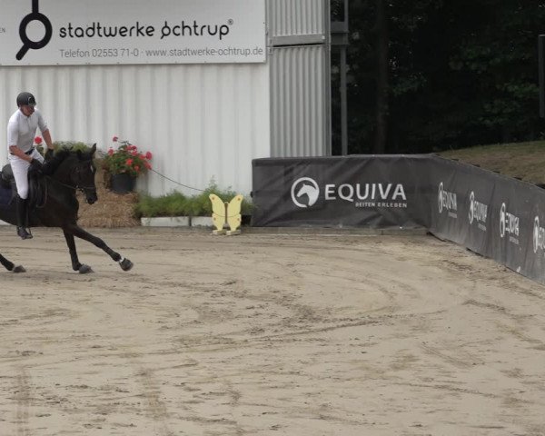 Reitturnier Ochtrup 2023