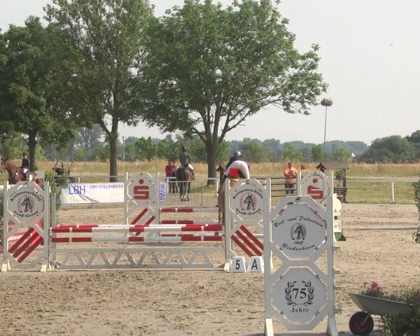 Reitturnier Biebesheim 2023