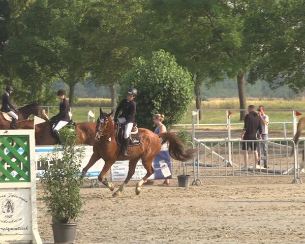 Reitturnier Biebesheim 2023