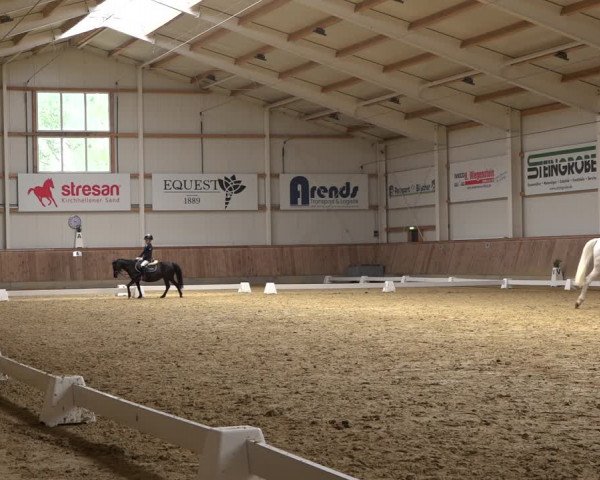 Reitturnier Ochtrup 2023