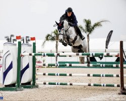 Springpaard Super Noodle (Holsteiner, 2016, van Mylord Carthago)