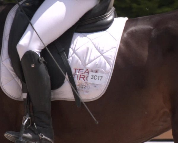 Reitturnier St. Ulrich am Pillersee 2023