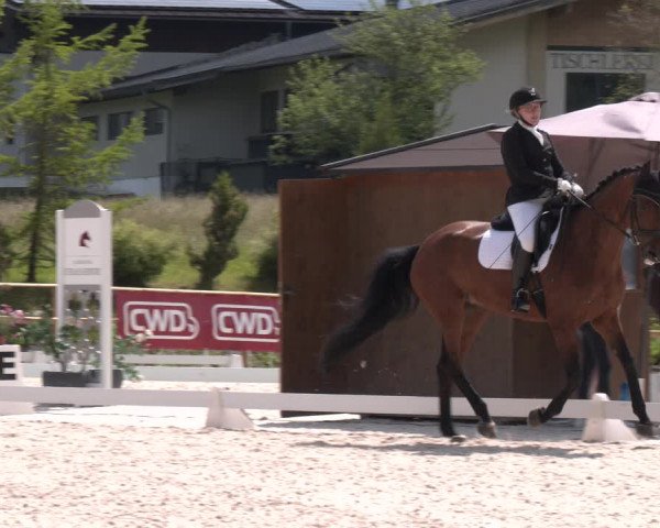 Reitturnier St. Ulrich am Pillersee 2023
