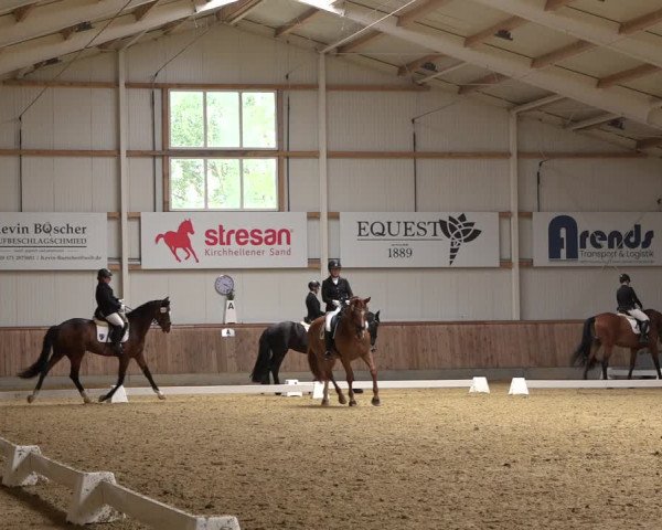 Reitturnier Ochtrup 2023