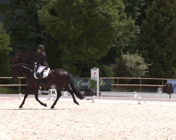 Reitturnier St. Ulrich am Pillersee 2023