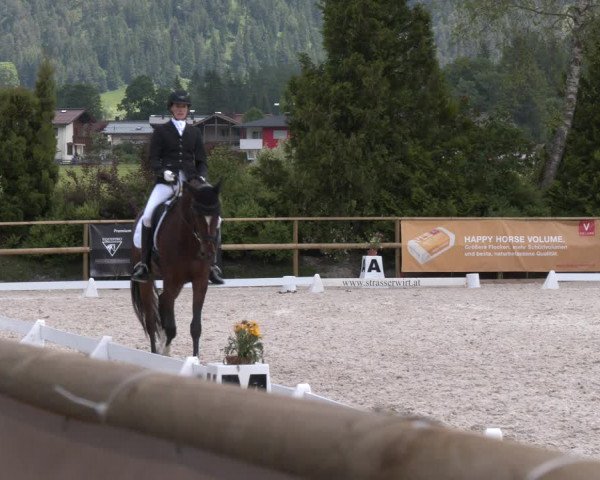 Reitturnier St. Ulrich am Pillersee 2023