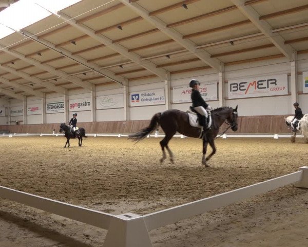 Reitturnier Ochtrup 2023
