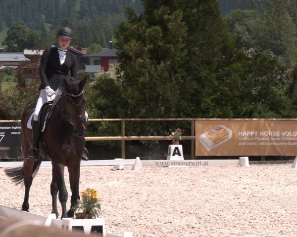 Reitturnier St. Ulrich am Pillersee 2023